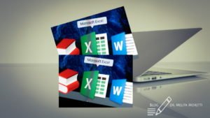 VNOS PODATKOV V EXCEL